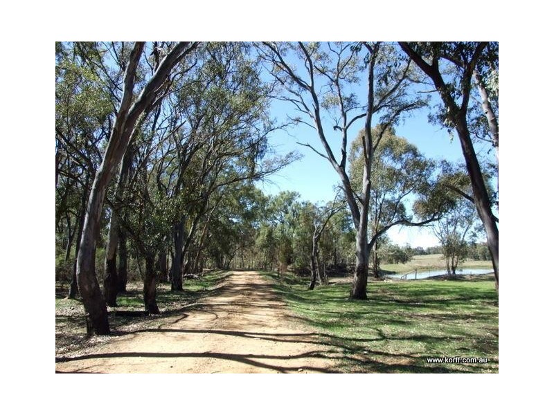 Coonabarabran NSW 2357