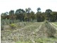 Coonabarabran NSW 2357