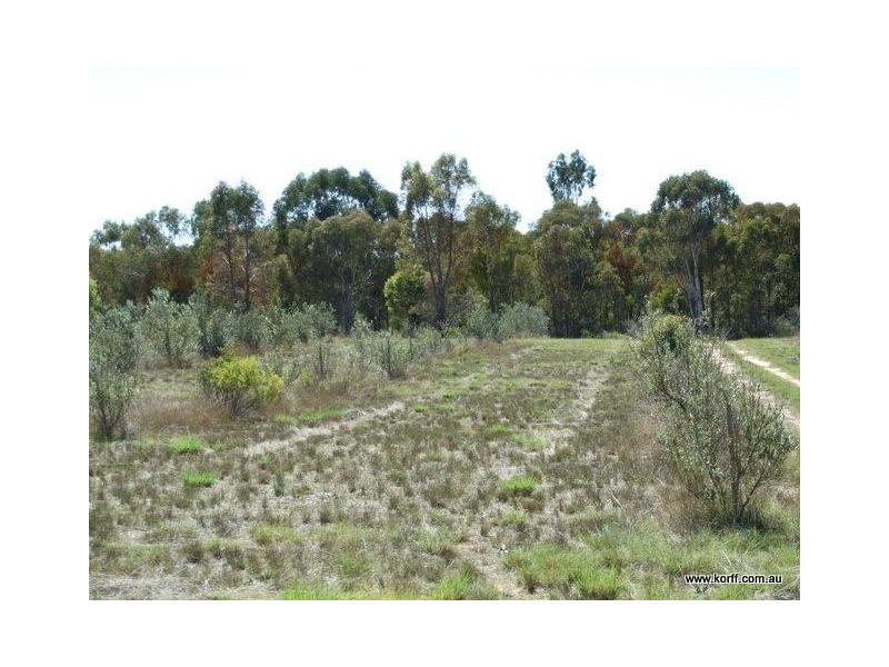Coonabarabran NSW 2357