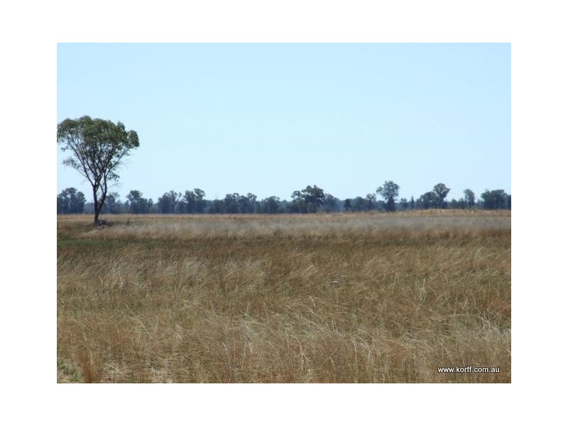 Gwabegar NSW 2356