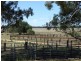 Gwabegar NSW 2356