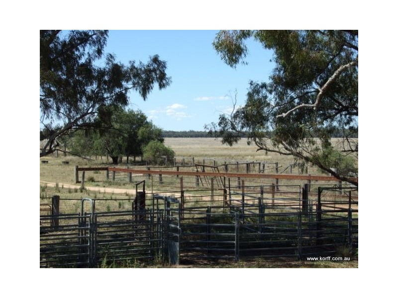 Gwabegar NSW 2356
