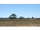 Gwabegar NSW 2356