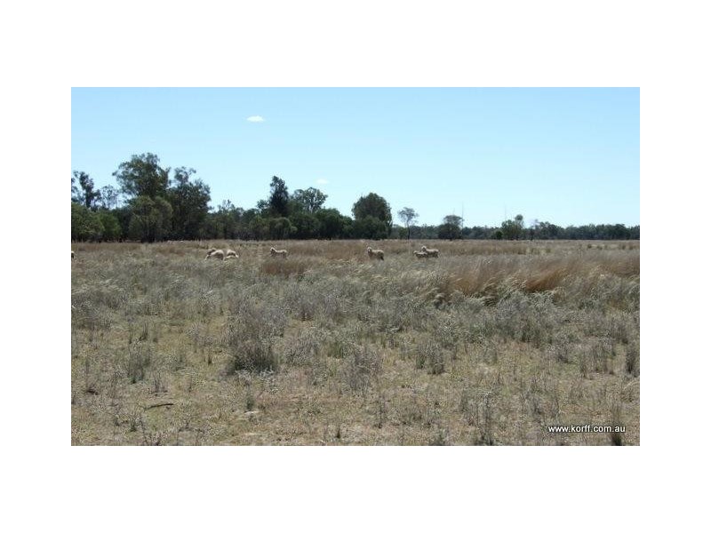 Gwabegar NSW 2356