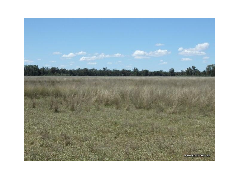 Gwabegar NSW 2356