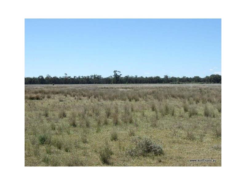 Gwabegar NSW 2356