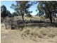 Gwabegar NSW 2356