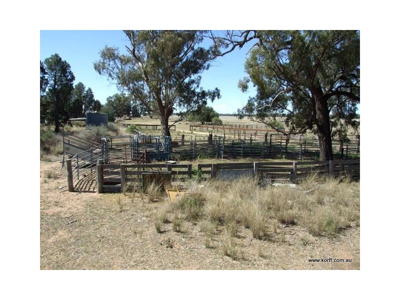 Gwabegar NSW 2356