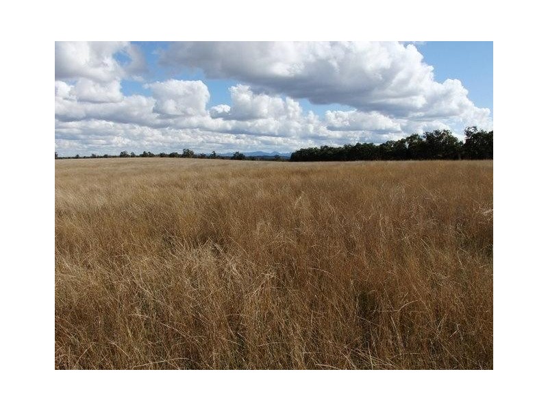 Coonabarabran NSW 2357