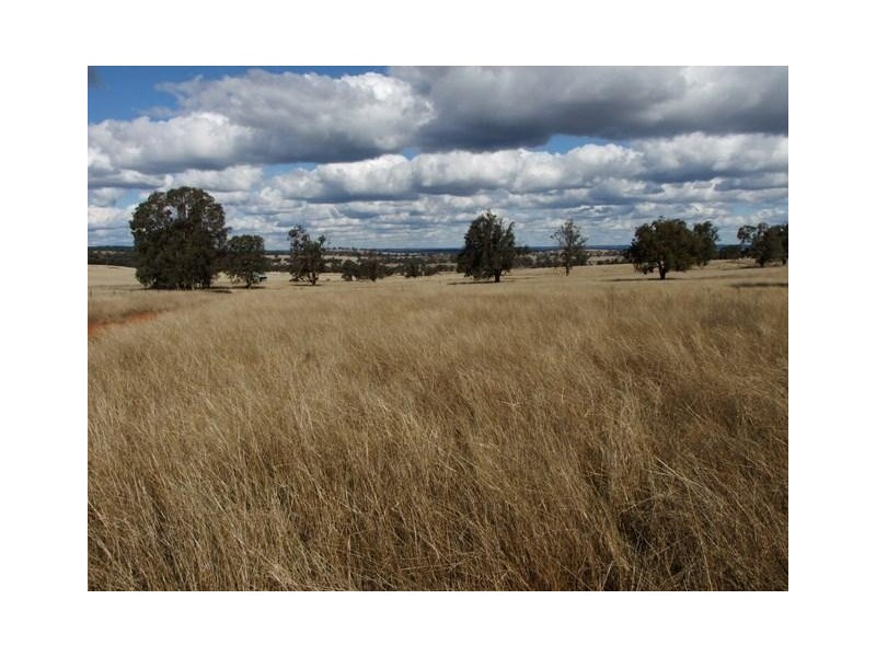 Coonabarabran NSW 2357