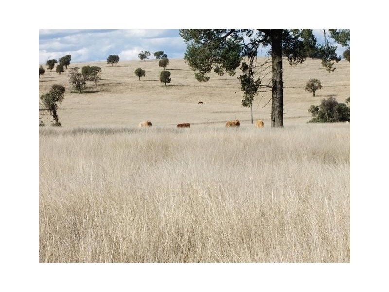 Coonabarabran NSW 2357