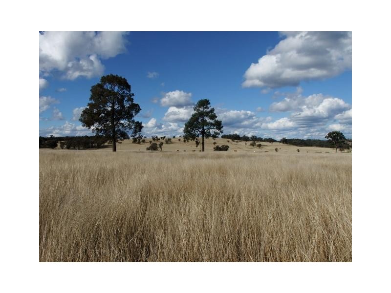 Coonabarabran NSW 2357