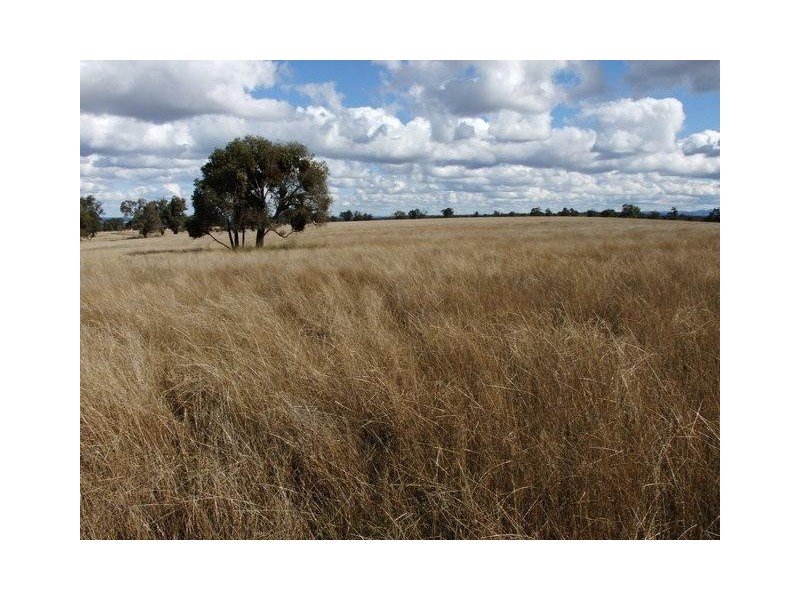 Coonabarabran NSW 2357