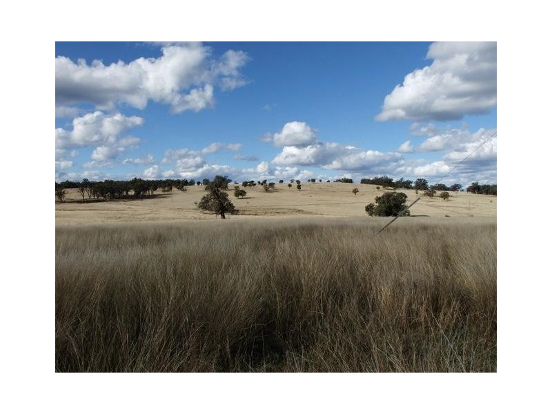 Coonabarabran NSW 2357