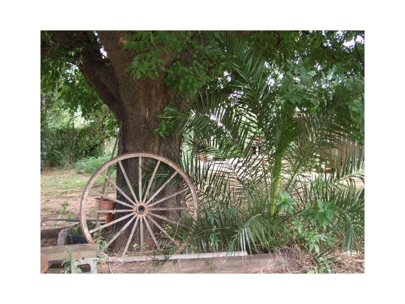 Baradine NSW 2396