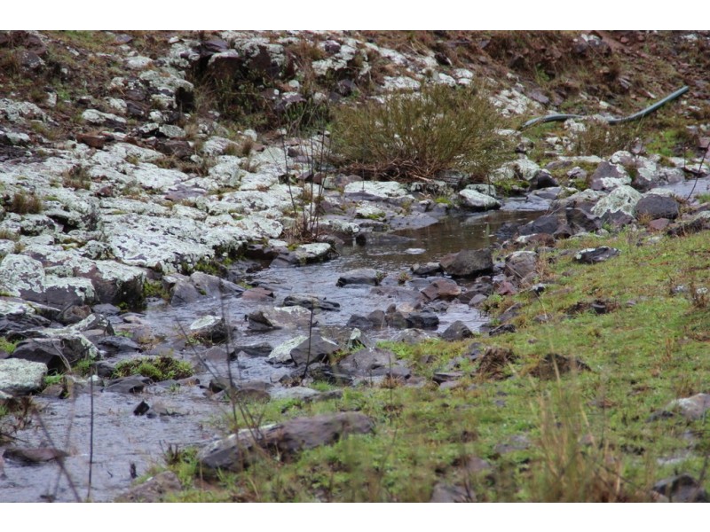 ‘MIRRIGUNDI’ 1941 TIMOR ROAD, Coonabarabran NSW 2357