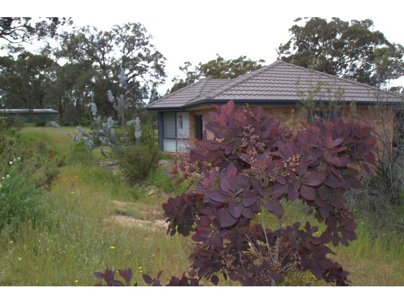 ‘YAAMA’ 583 RIVER ROAD, Coonabarabran NSW 2357