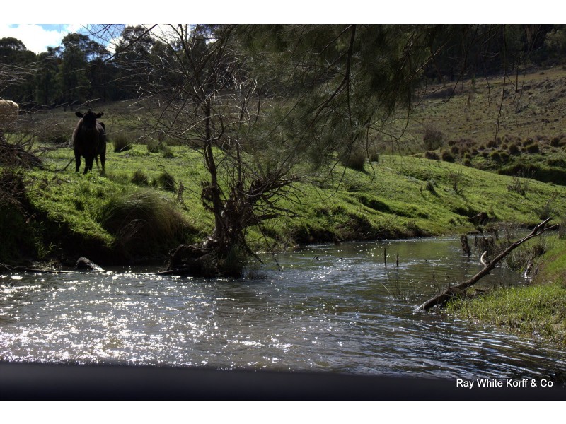 ‘YAAMA’ 583 RIVER ROAD, Coonabarabran NSW 2357