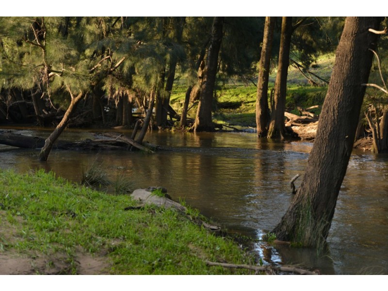 ‘YAAMA’ 583 RIVER ROAD, Coonabarabran NSW 2357