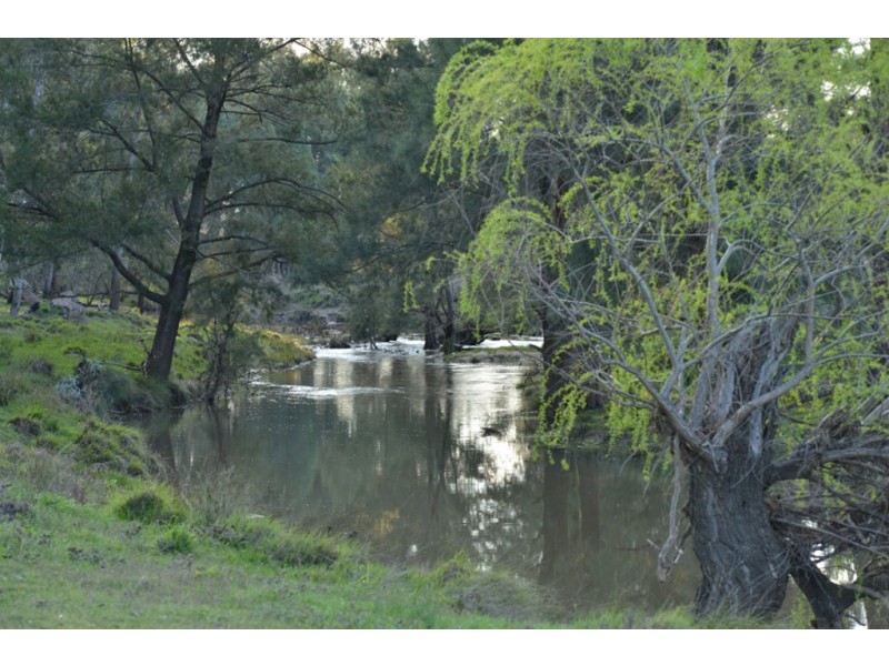 ‘YAAMA’ 583 RIVER ROAD, Coonabarabran NSW 2357