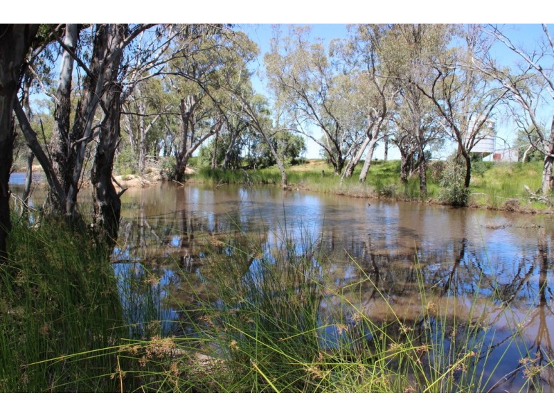 ROSSARDEN MERIMBOROUGH LANE, Wee Waa NSW 2388