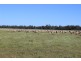 ROSSARDEN MERIMBOROUGH LANE, Wee Waa NSW 2388