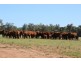 ROSSARDEN MERIMBOROUGH LANE, Wee Waa NSW 2388