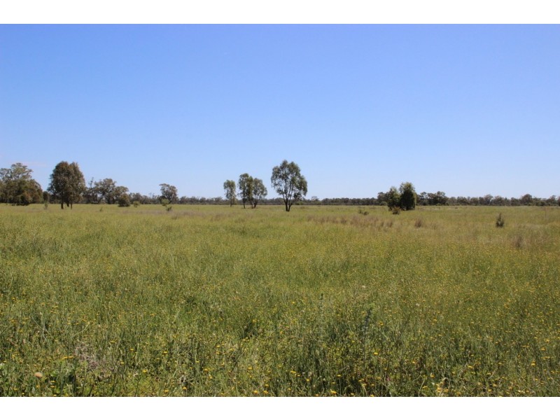 ROSSARDEN MERIMBOROUGH LANE, Wee Waa NSW 2388
