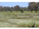 ROSSARDEN MERIMBOROUGH LANE, Wee Waa NSW 2388
