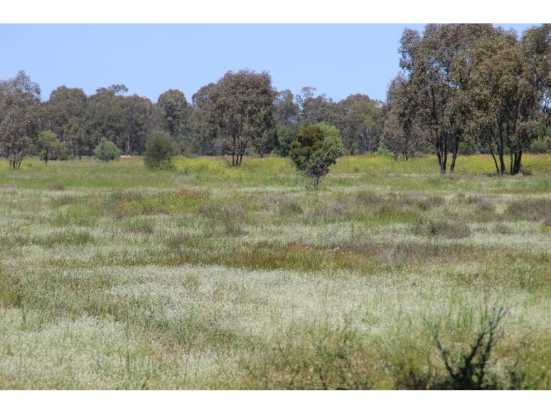 ROSSARDEN MERIMBOROUGH LANE, Wee Waa NSW 2388
