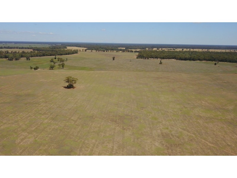 ROSSARDEN MERIMBOROUGH LANE, Wee Waa NSW 2388