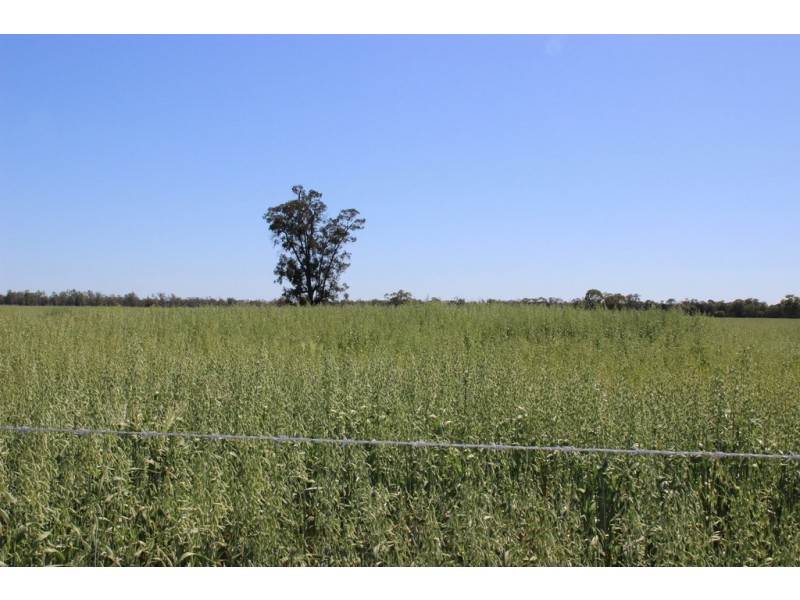 ROSSARDEN MERIMBOROUGH LANE, Wee Waa NSW 2388