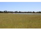 ROSSARDEN MERIMBOROUGH LANE, Wee Waa NSW 2388