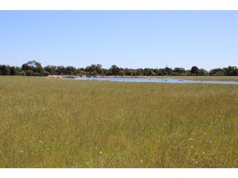 ROSSARDEN MERIMBOROUGH LANE, Wee Waa NSW 2388