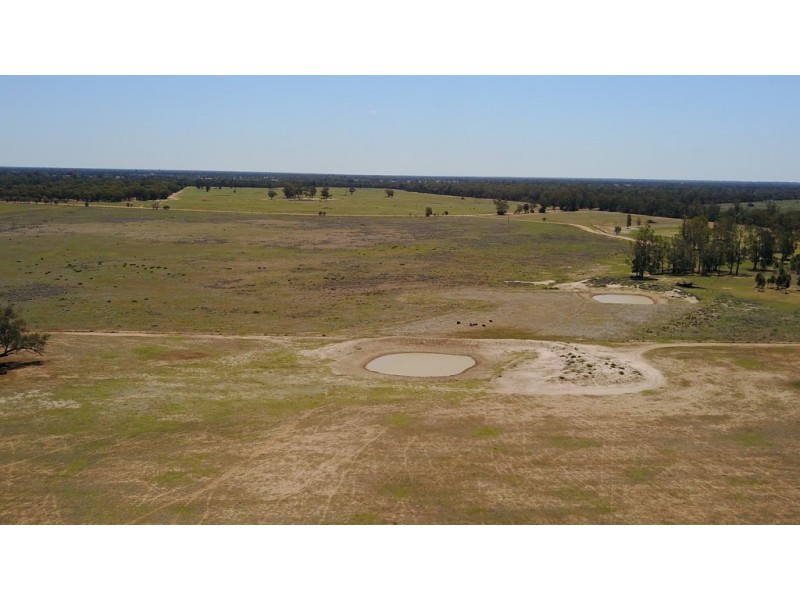 ROSSARDEN MERIMBOROUGH LANE, Wee Waa NSW 2388