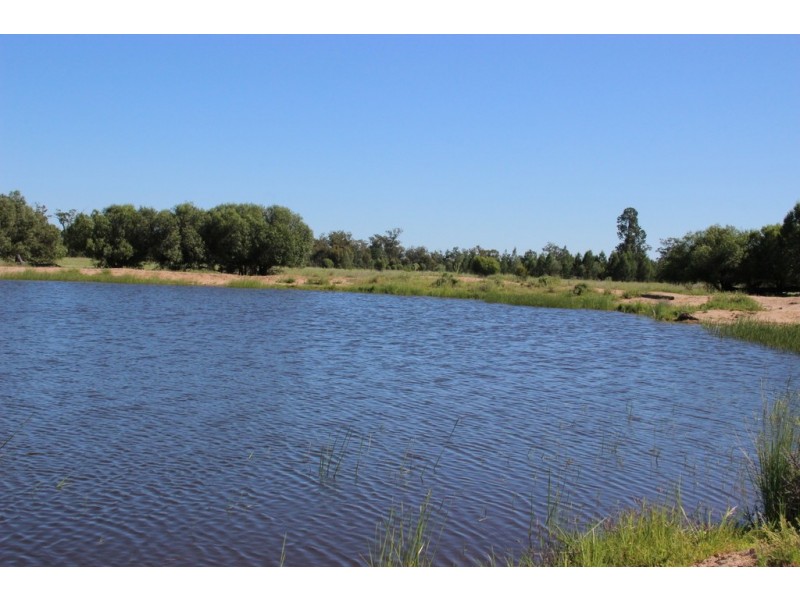 ROSSARDEN MERIMBOROUGH LANE, Wee Waa NSW 2388
