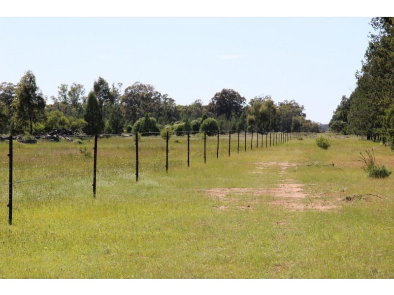 ROSSARDEN MERIMBOROUGH LANE, Wee Waa NSW 2388