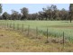 ROSSARDEN MERIMBOROUGH LANE, Wee Waa NSW 2388