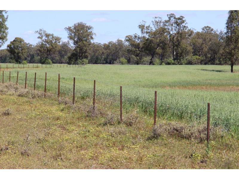 ROSSARDEN MERIMBOROUGH LANE, Wee Waa NSW 2388