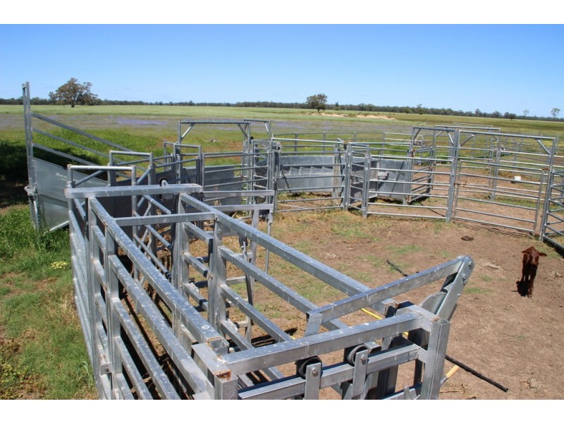 ROSSARDEN MERIMBOROUGH LANE, Wee Waa NSW 2388