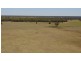 ROSSARDEN MERIMBOROUGH LANE, Wee Waa NSW 2388