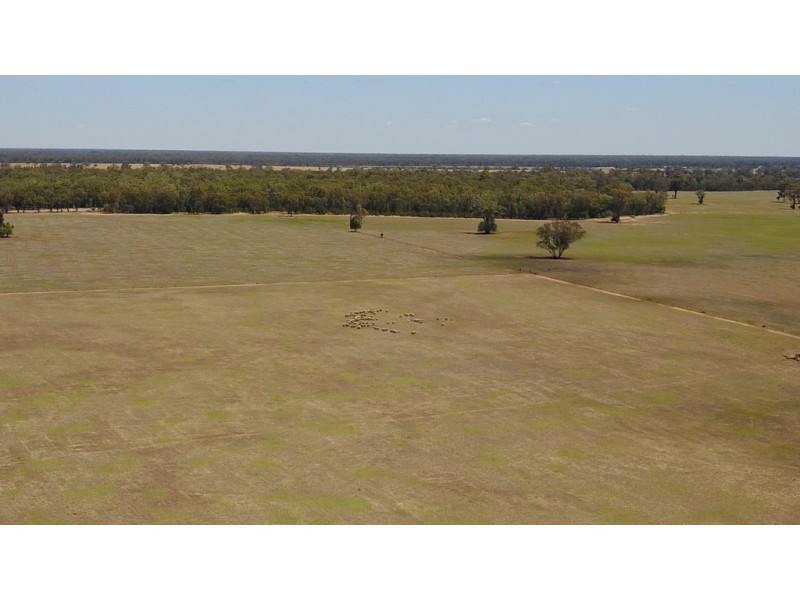 ROSSARDEN MERIMBOROUGH LANE, Wee Waa NSW 2388