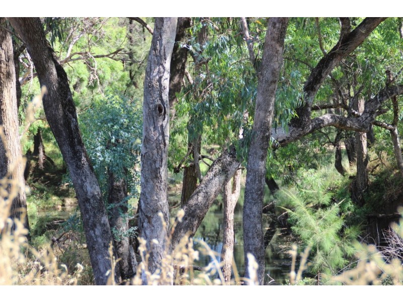 256 TIMOR ROAD, Coonabarabran NSW 2357