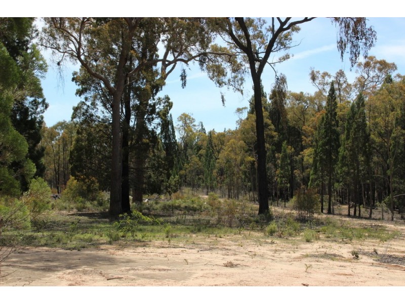 834 QUAKER TOMMY ROAD, Coonabarabran NSW 2357