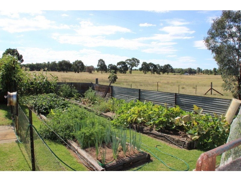 ‘ SPRING FLATS’, Coonabarabran NSW 2357