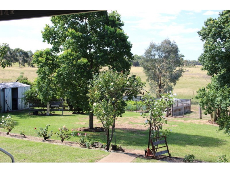‘ SPRING FLATS’, Coonabarabran NSW 2357
