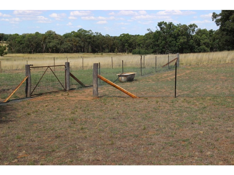 ‘ SPRING FLATS’, Coonabarabran NSW 2357