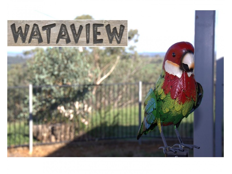 ‘ WATAVIEW’, Coonabarabran NSW 2357