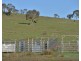 ‘ WATAVIEW’, Coonabarabran NSW 2357