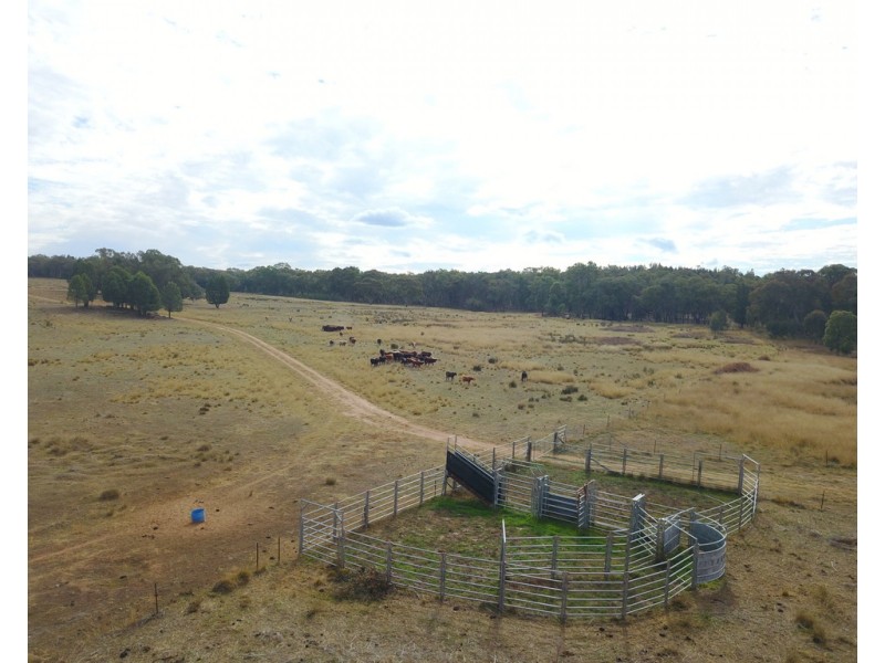 ‘ WATAVIEW’, Coonabarabran NSW 2357